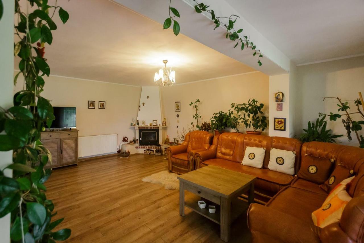 Casa Florilor Hotel Curtea de Argeş Eksteriør billede