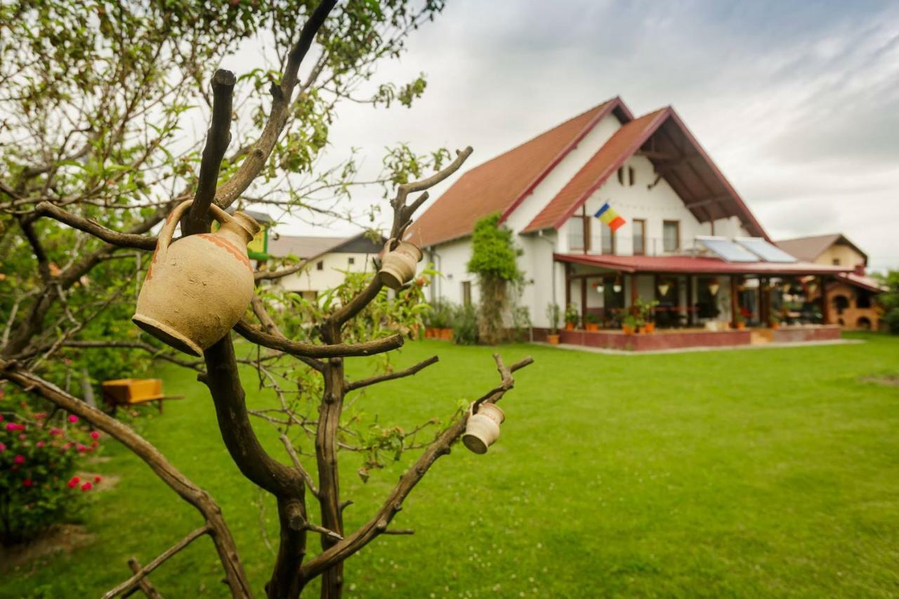 Casa Florilor Hotel Curtea de Argeş Eksteriør billede